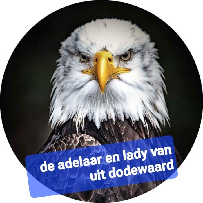 De Adelaar en Lady