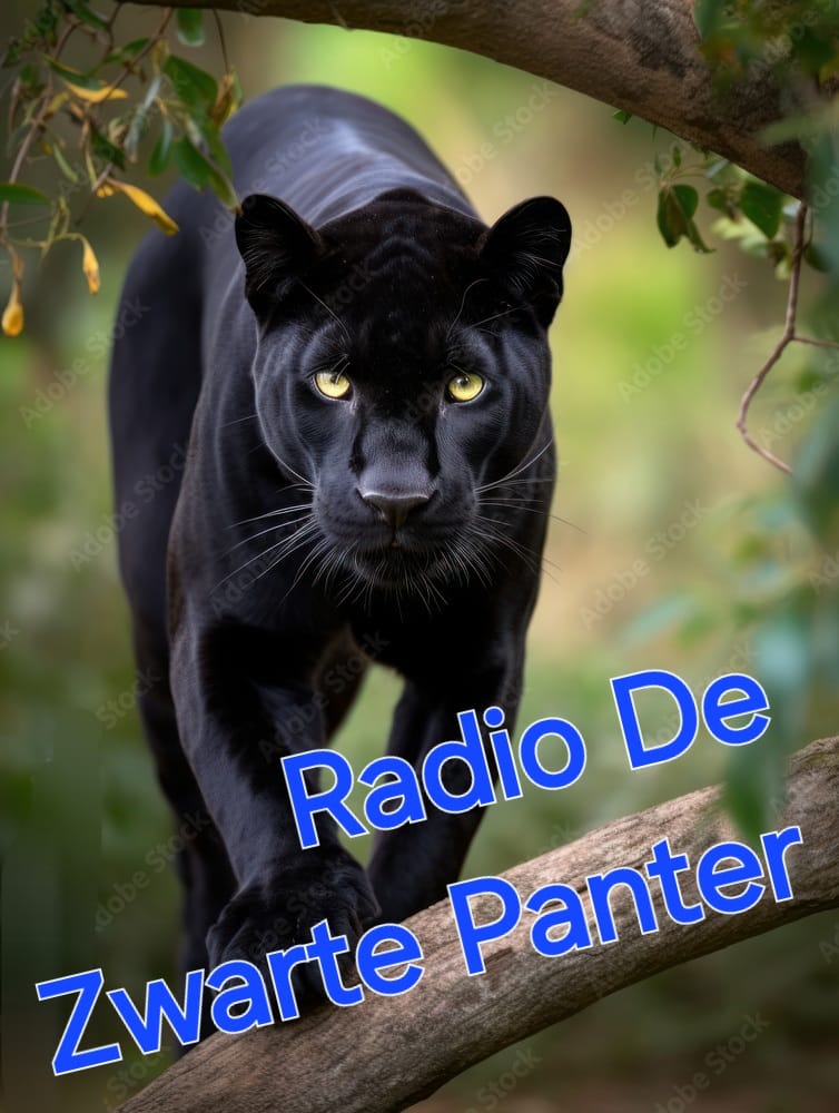 De Zwarte Panter